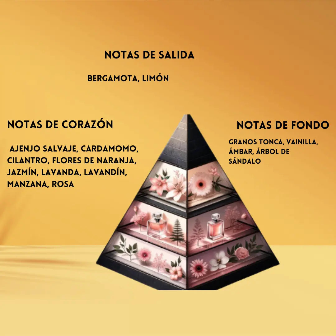 https://cdn.shopify.com/s/files/1/0807/0129/2877/files/BhararaOnyx100mlnotasolfativas.png?v=1744039391