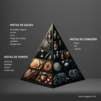 https://cdn.shopify.com/s/files/1/0807/0129/2877/files/sillage-armaf_105_ml_notas_olfativas.jpg?v=1743778517