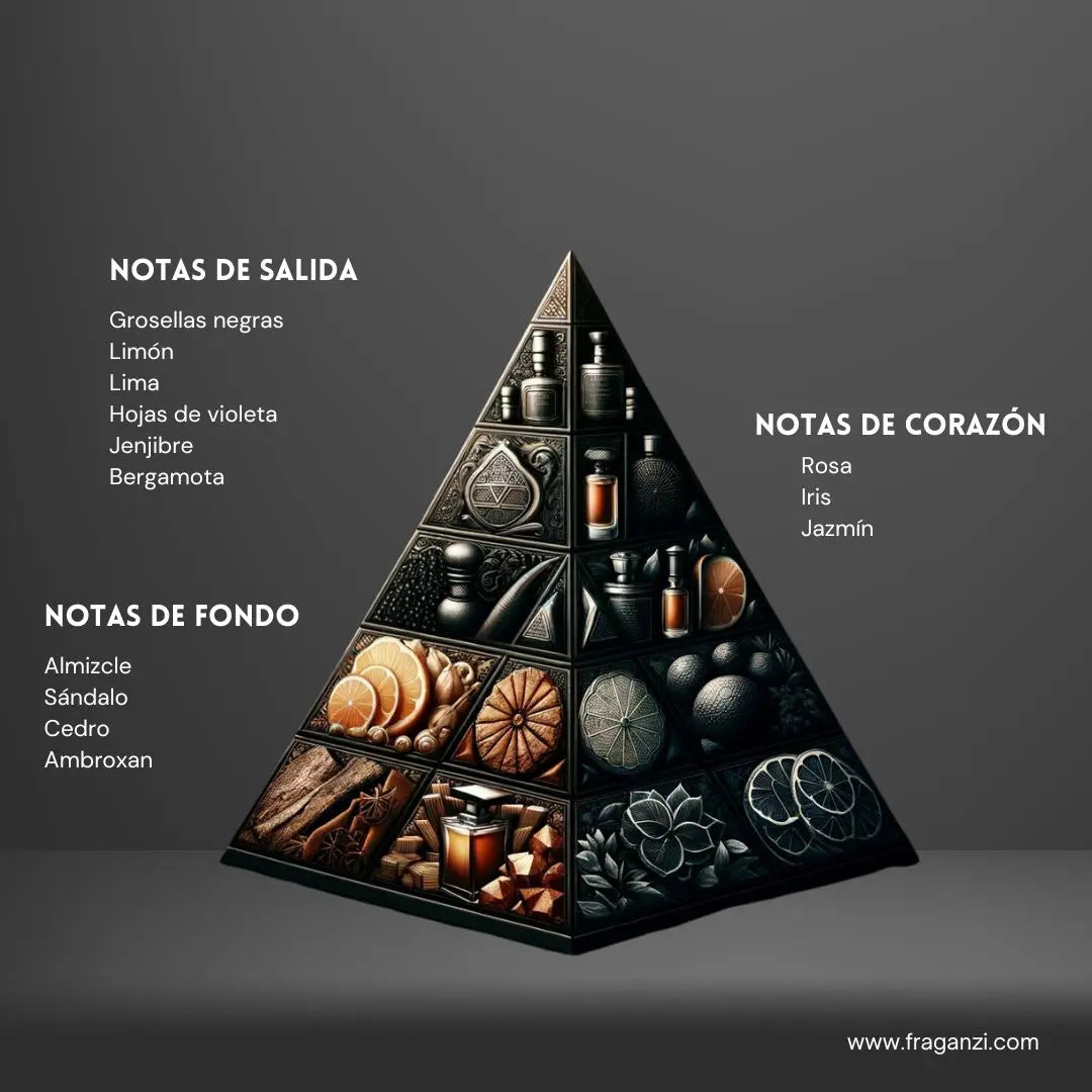 https://cdn.shopify.com/s/files/1/0807/0129/2877/files/sillage-armaf_105_ml_notas_olfativas.jpg?v=1743778517